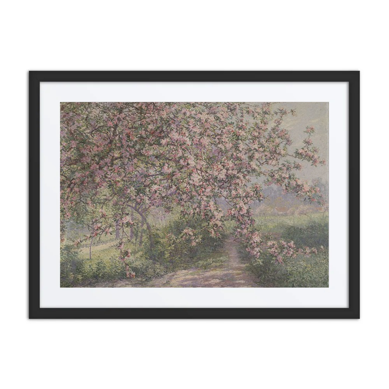 A Blossoming Apple Tree