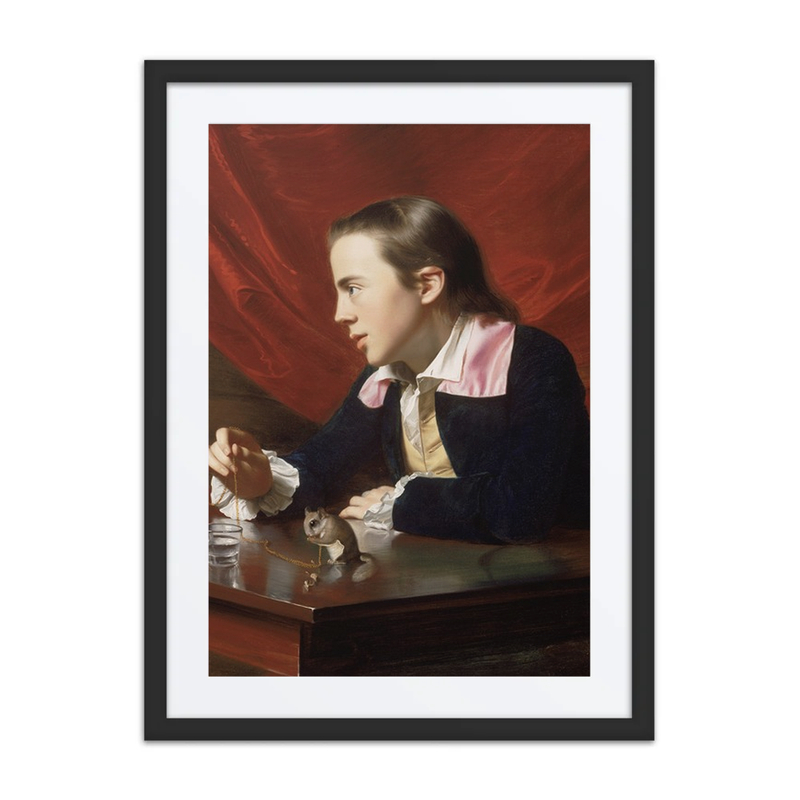 A Boy with a Flying Squirrel (Henry Pelham)