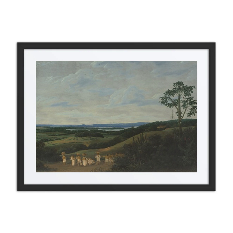 A Brazilian Landscape