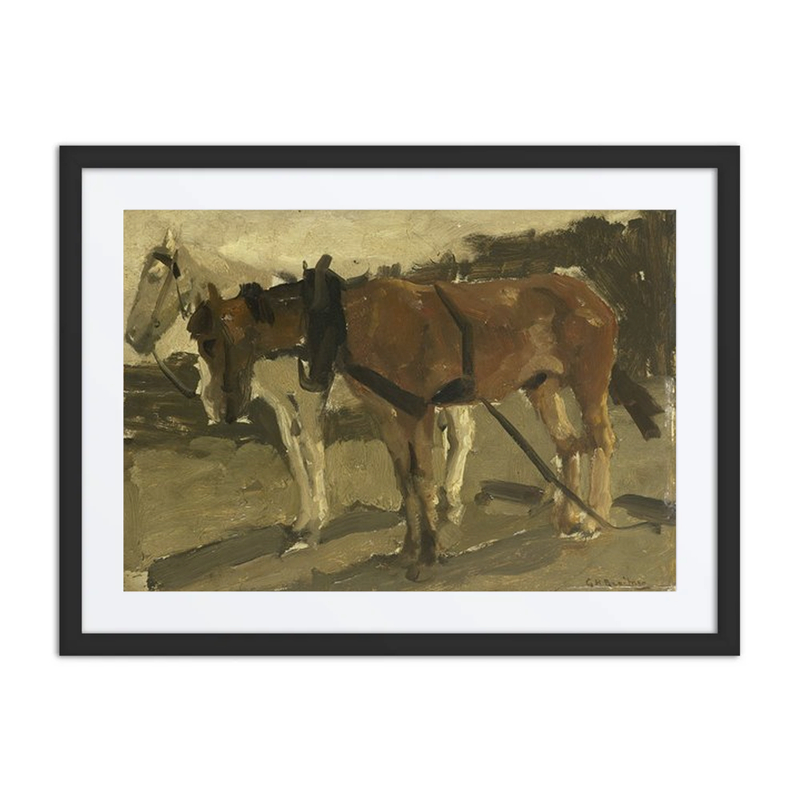 A Brown and a White Horse in Scheveningen