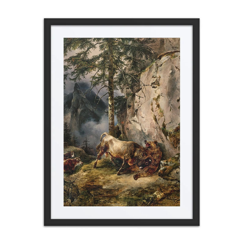 A Bull Fighting a Bear