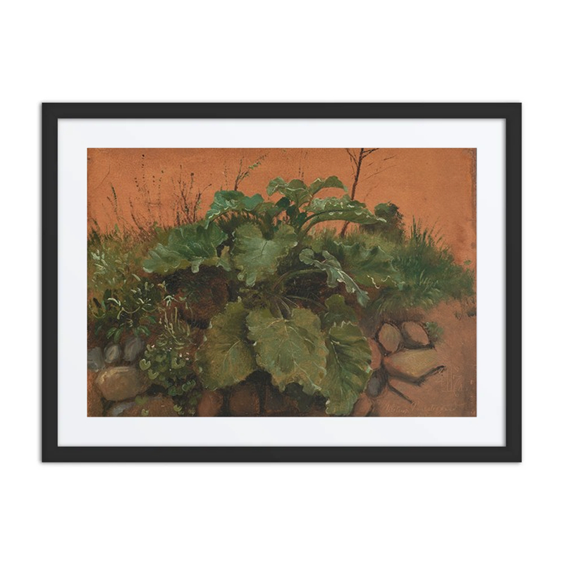 A Burdock and Other Plants on a Stone Wall