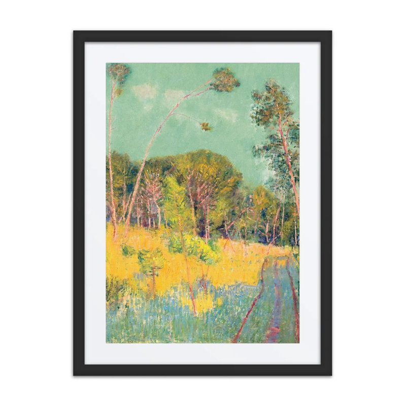 A Clearing in the Forest