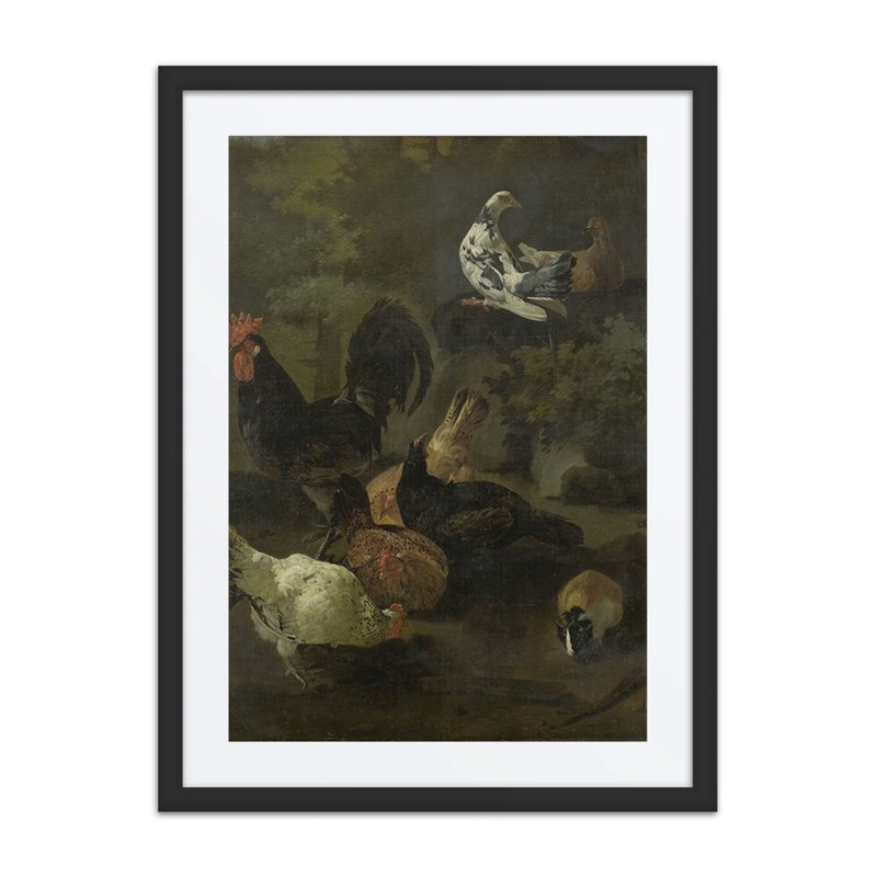 A Cock, Hens, Doves, and a Marmot