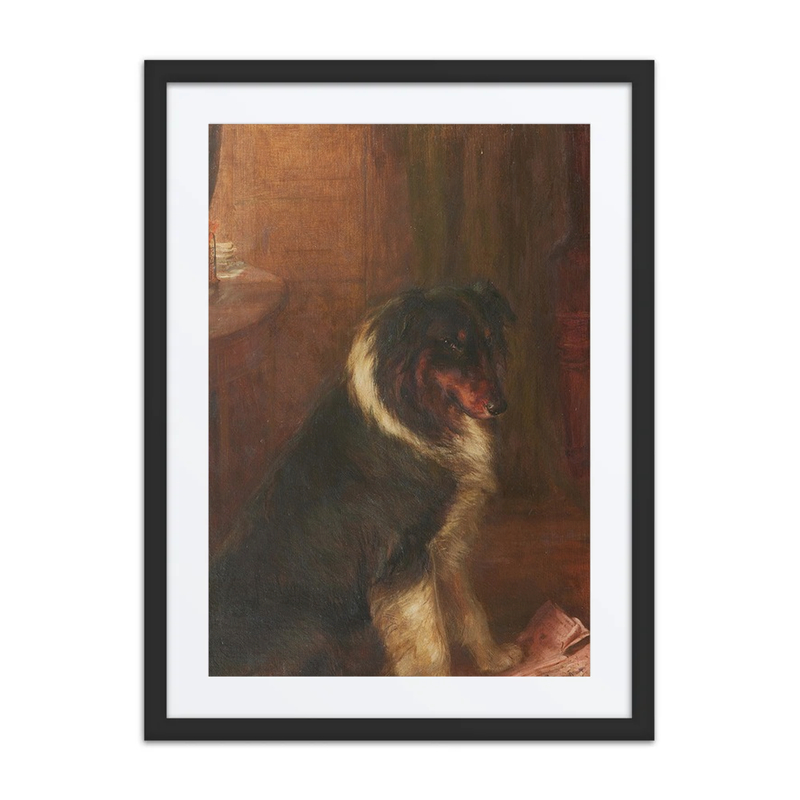 A Collie in an Interior