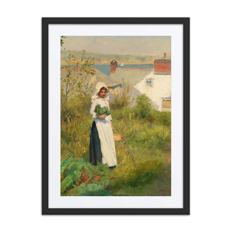 A Cornish Cottage Garden