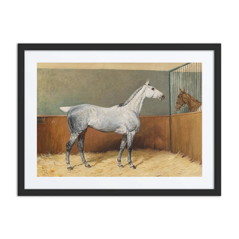 A Dappled-Grey Horse