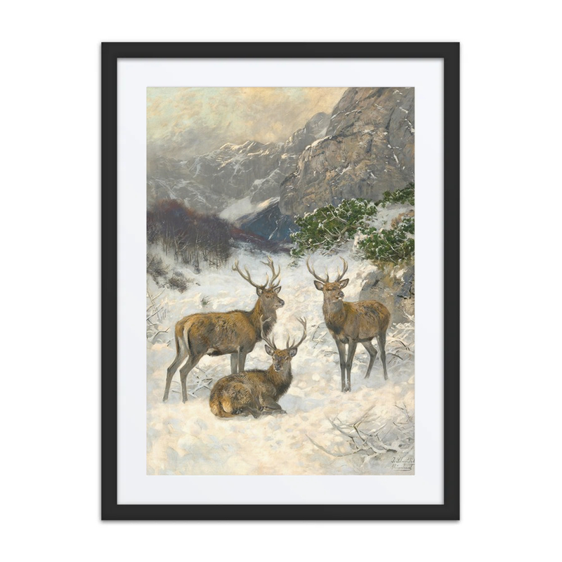 A Deer Herd in Winter