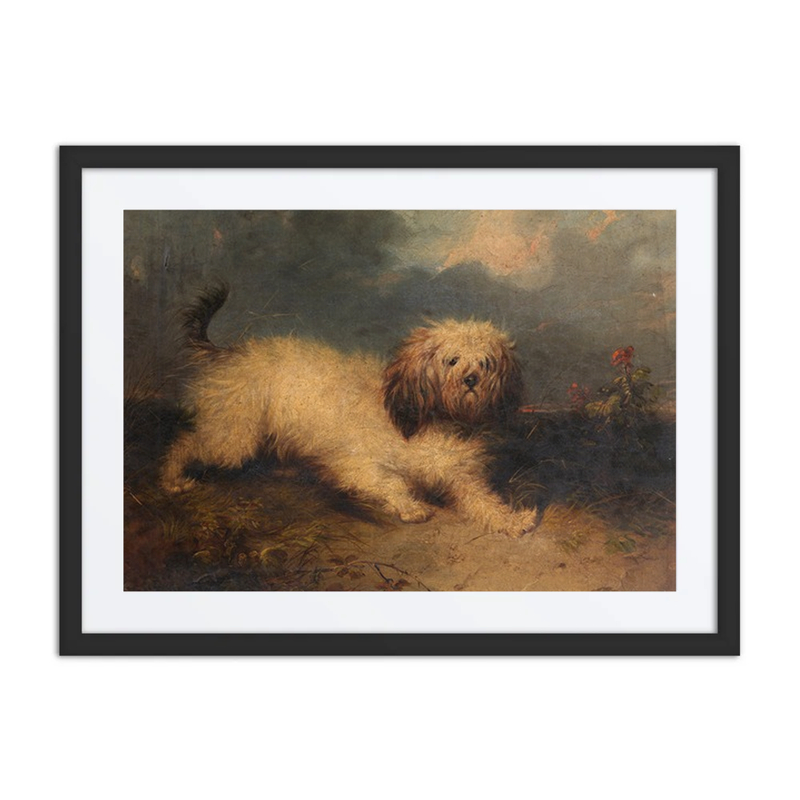 A Dog