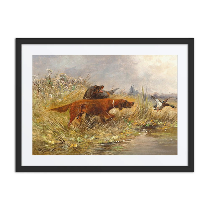 A Duck Hunt