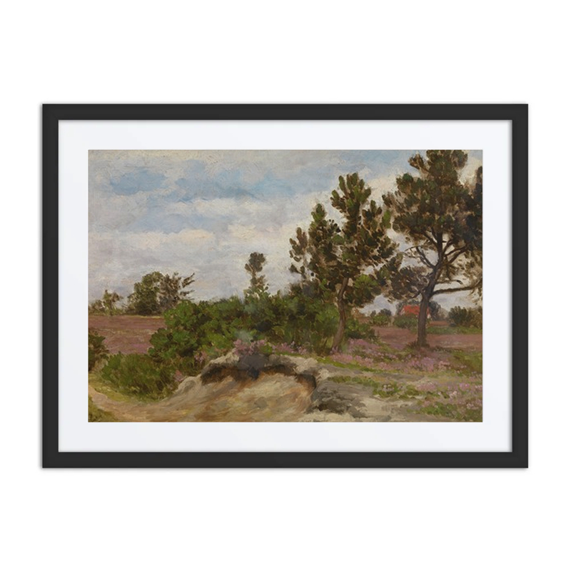 A Dune Landscape