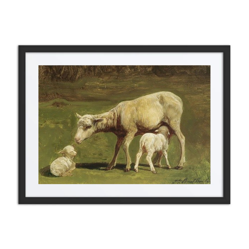 A Ewe and Two Lambs