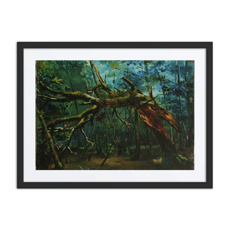 A Fallen Tree