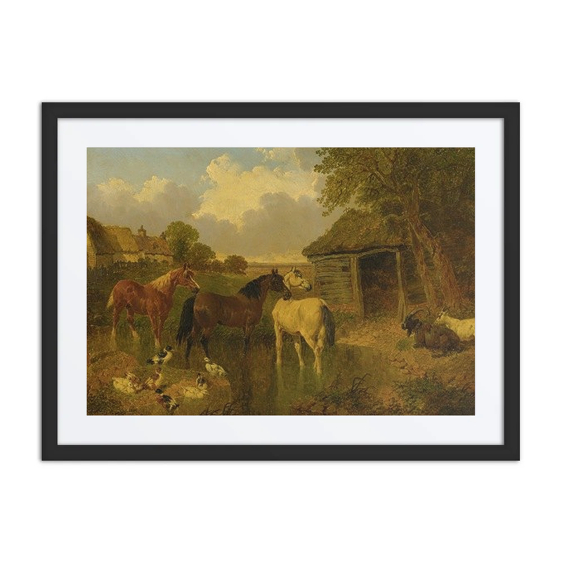 A Farmyard