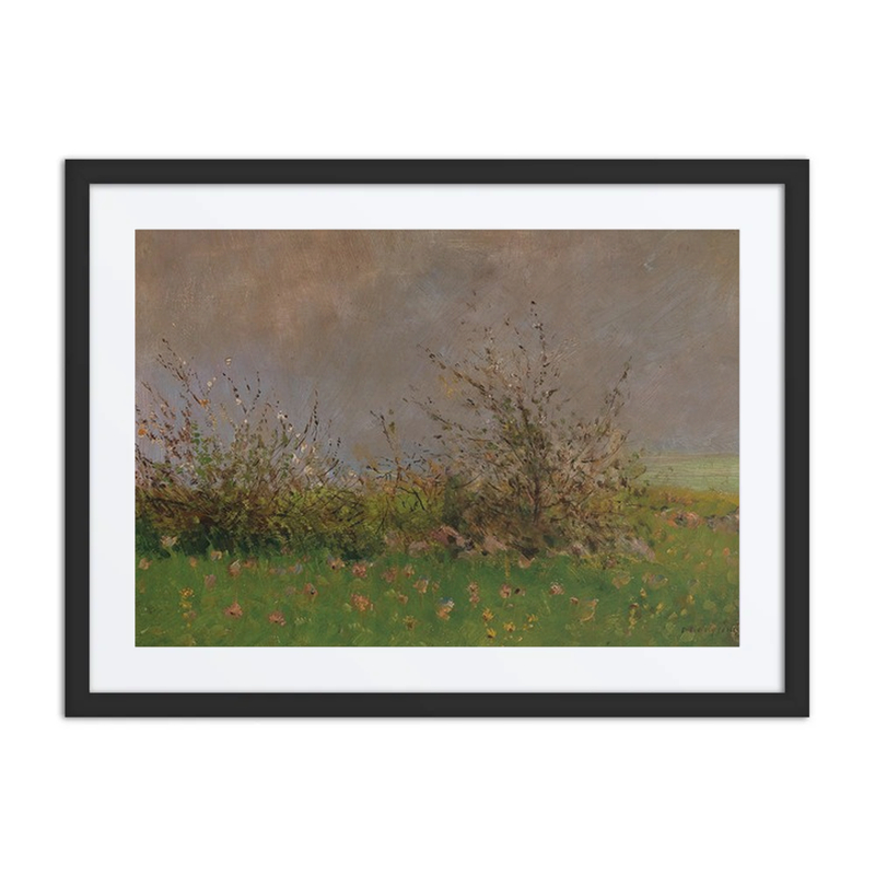 A Flower Meadow