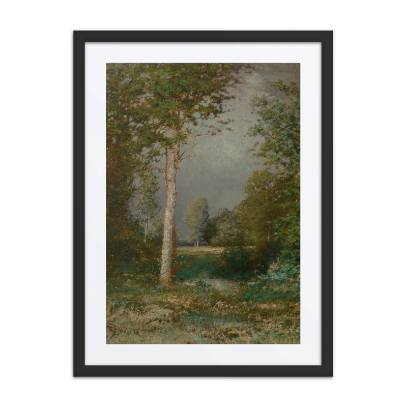 A Forest Glade