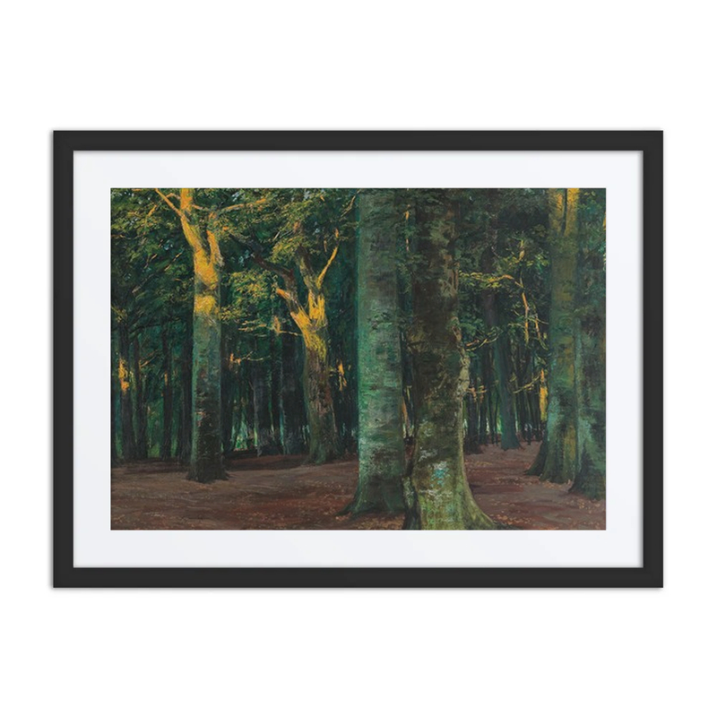 A Forest Interior