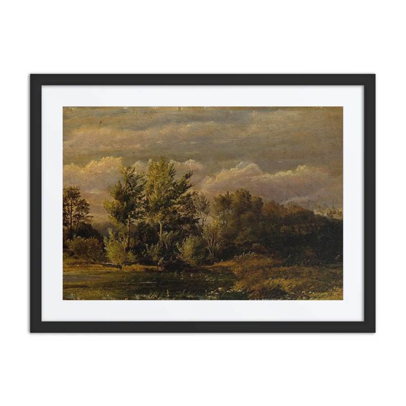A Forest Lake Surrounded by Birches. Study
