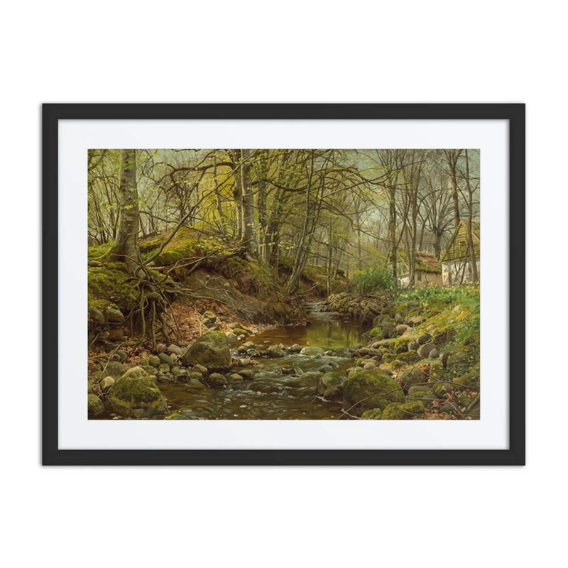A Forest Stream