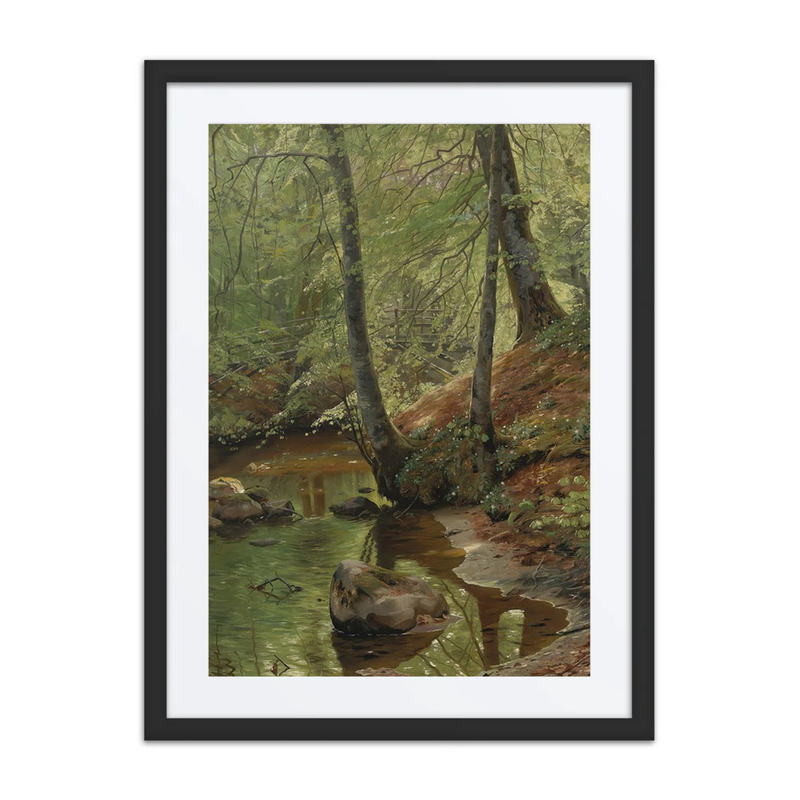 A Forest Stream