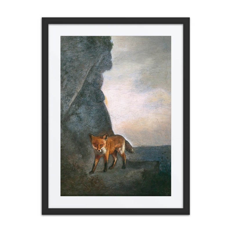 A Fox in the Mountains