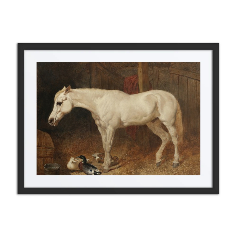 A Grey Horse in a Stable