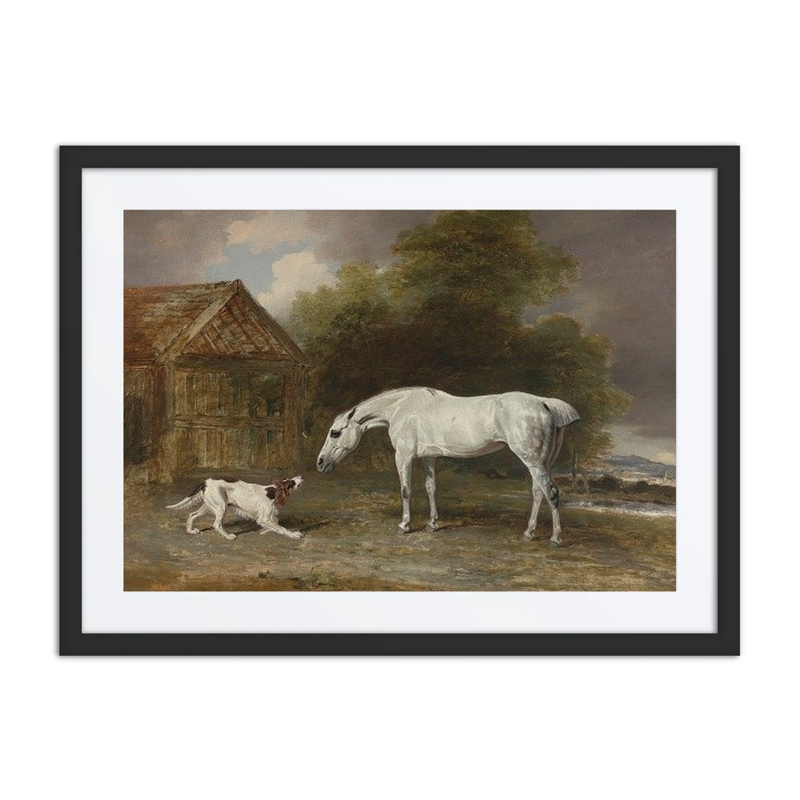 A Grey Hunter and a Spaniel