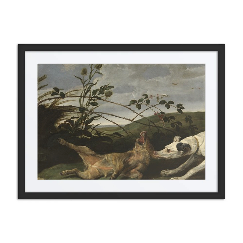 A Greyhound Catching a Young Wild Boar