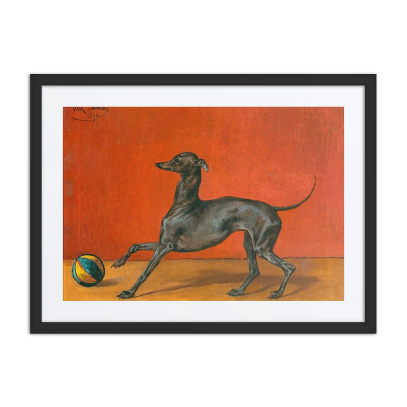 A Greyhound with Ball