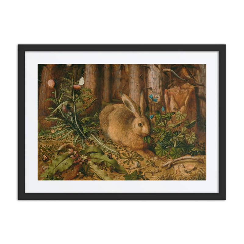A Hare in the Forest