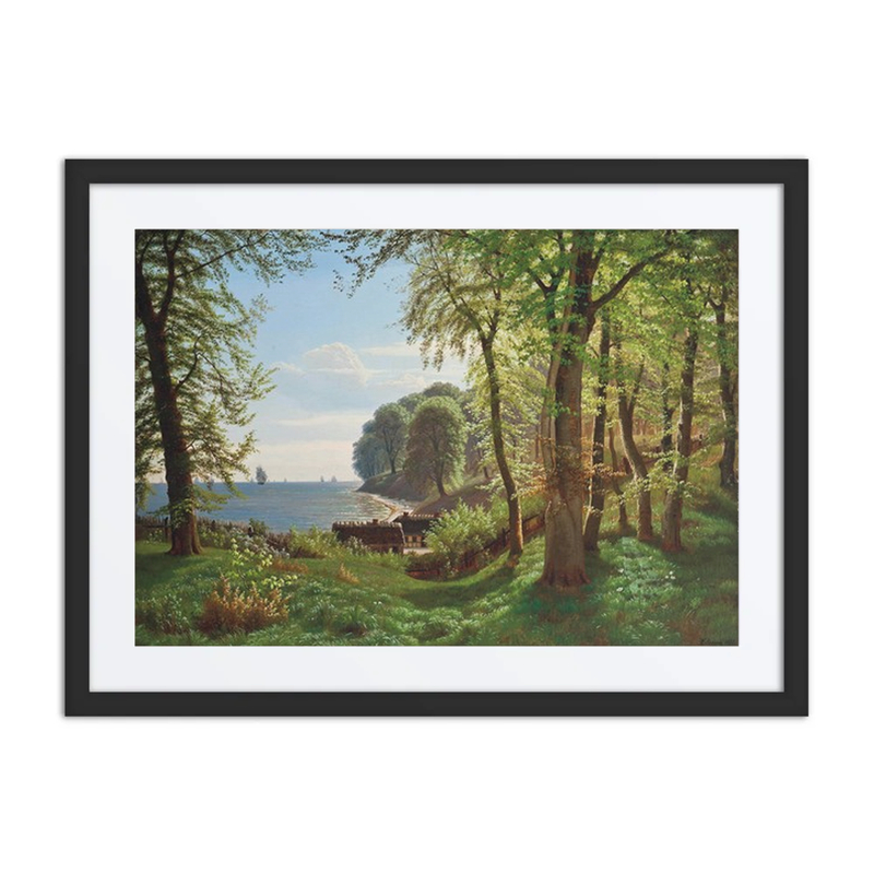 A Hidden Woodland Cove