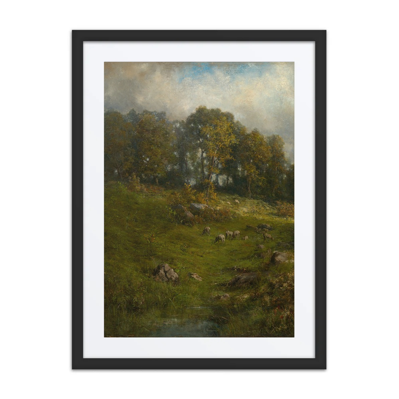 A Hillside Pasture