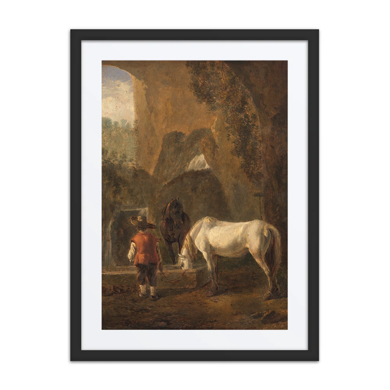 A Horse Drinking