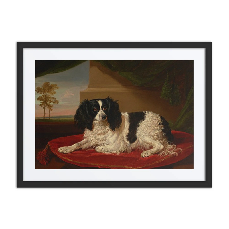 A King Charles Spaniel on a Red Cushion