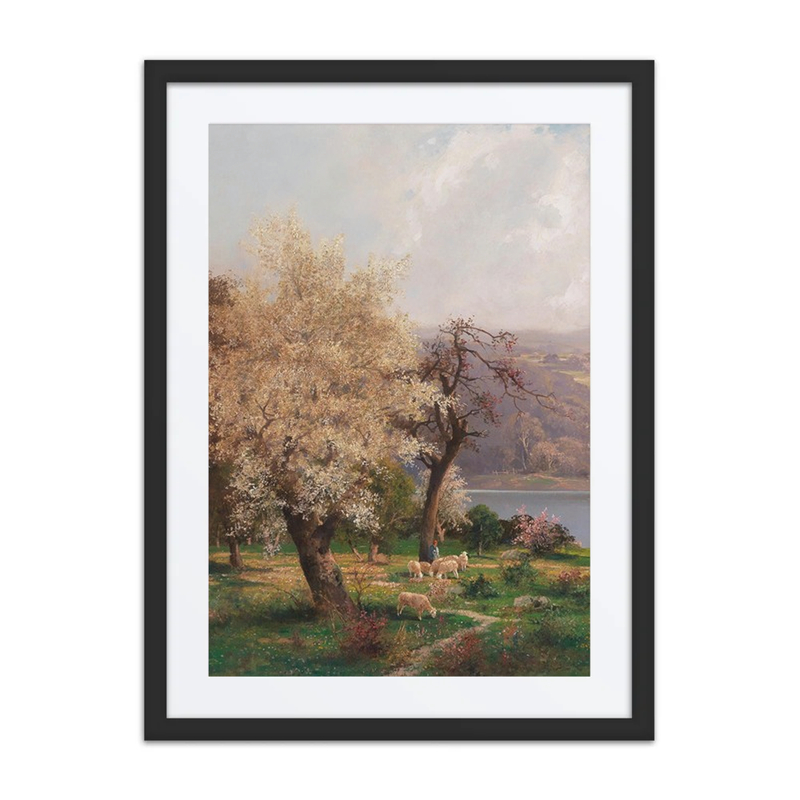 A Lake Landscape in Spring