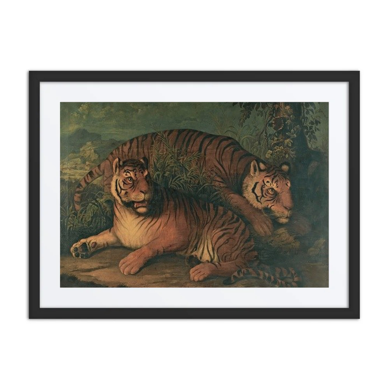 A Landscape with Bengal Tigers