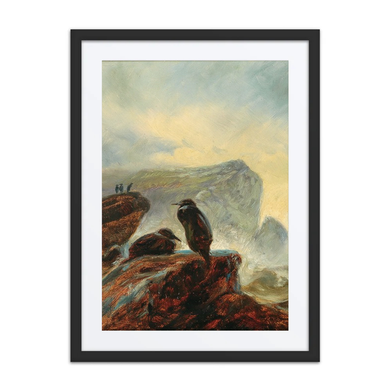 A Landscape with Cormorants on a Rock