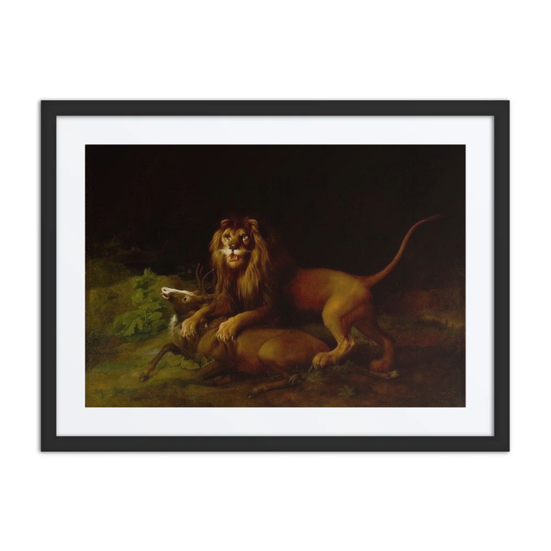 A Lion Attacking a Stag