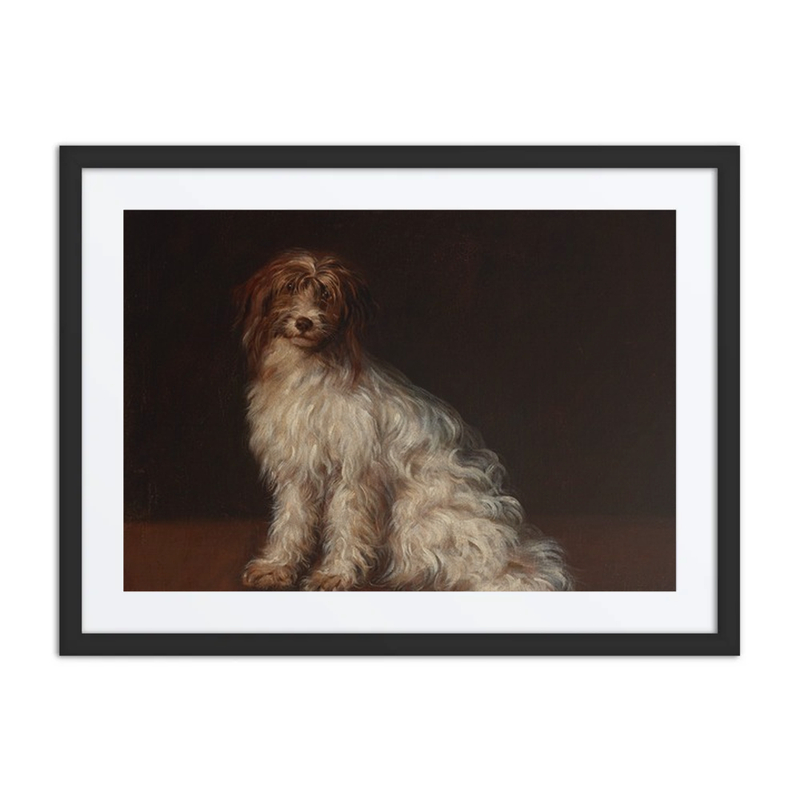 A Long-Haired Terrier