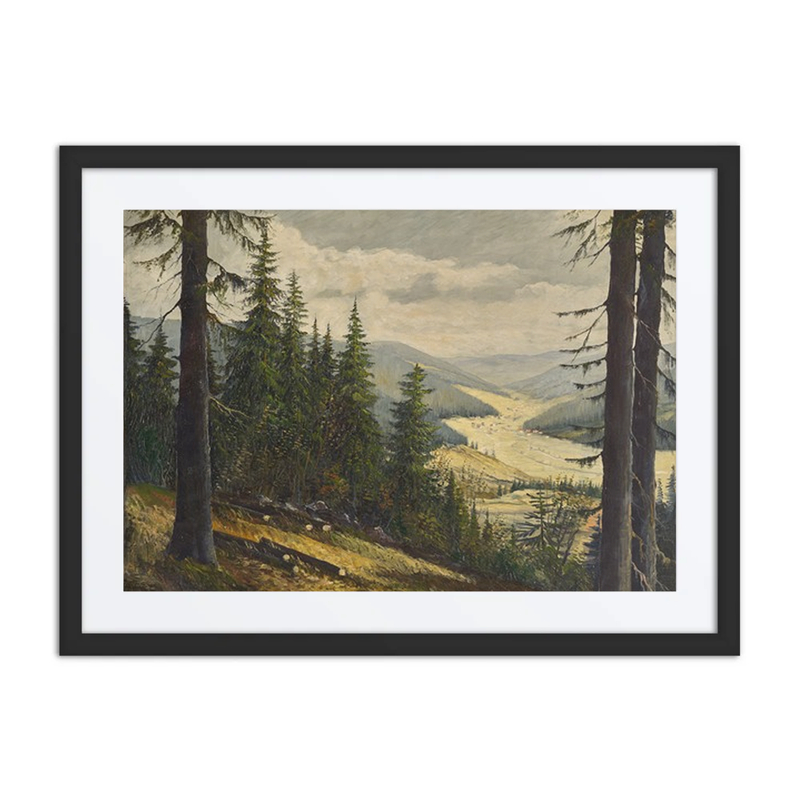 A Look at the Black Forest