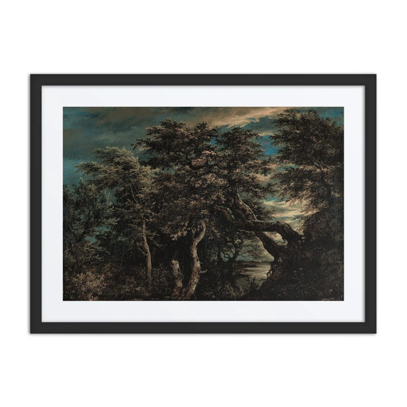 A Marsh in a Forest at Dusk