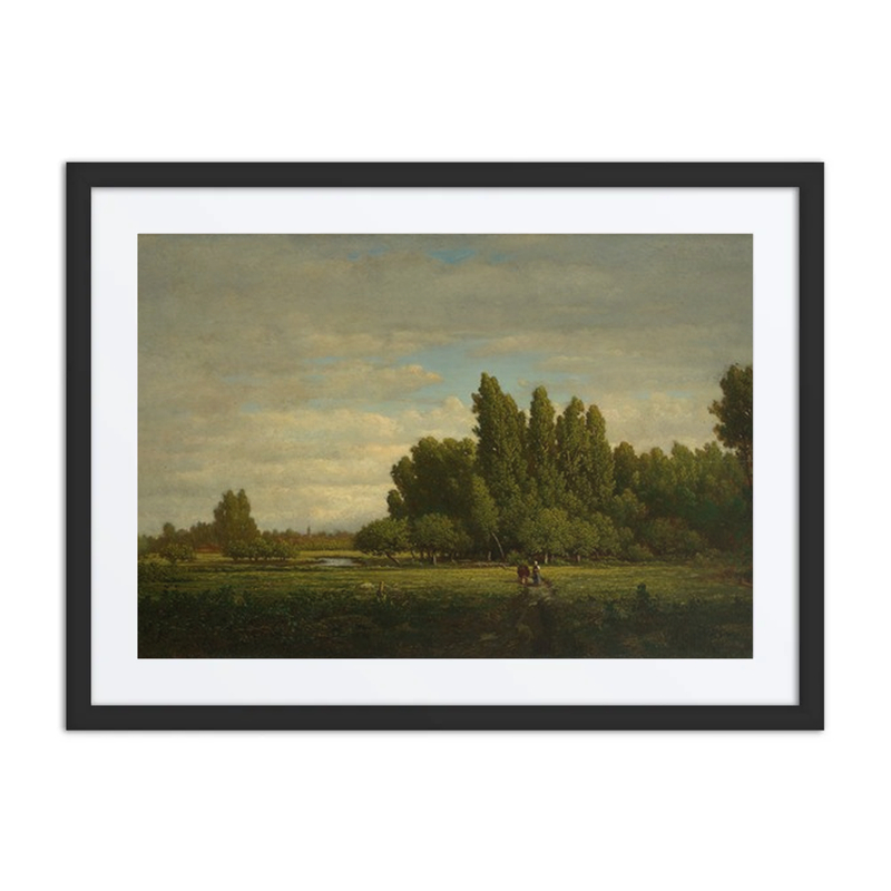 A Meadow Bordered by Trees