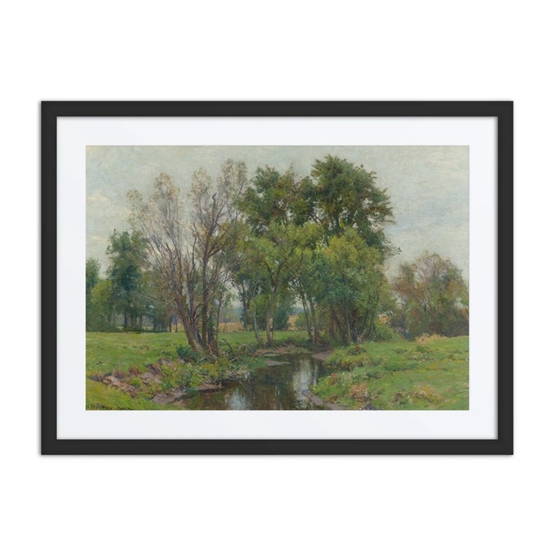 A Meadow Stream