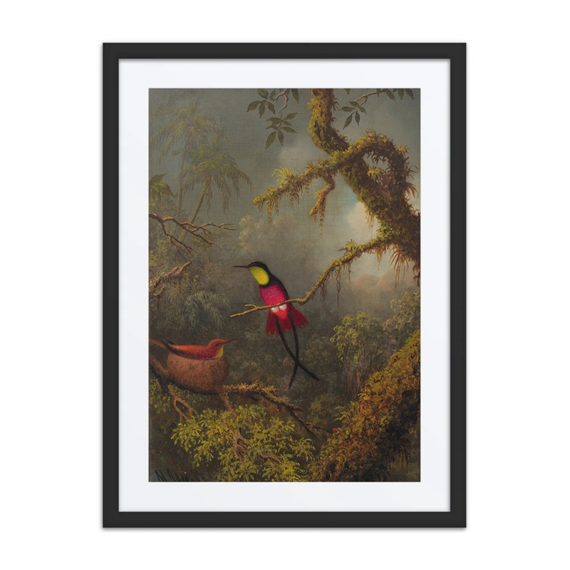 A Pair of Nesting Crimson Topaz Hummingbirds
