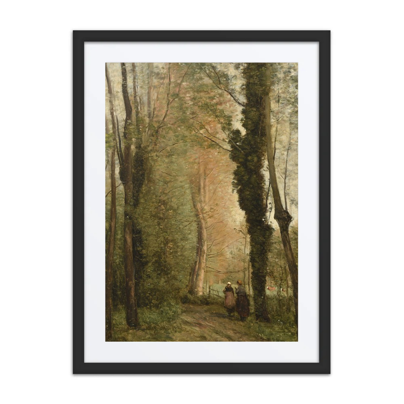 A Path Under Trees in Spring