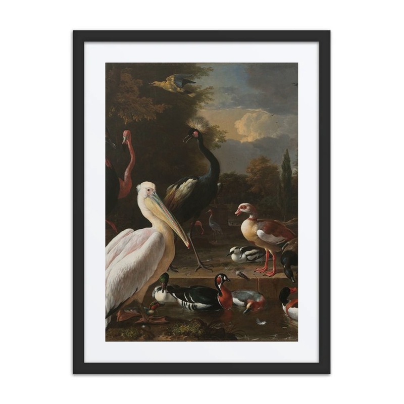 A Pelican and Other Birds Near a Pool