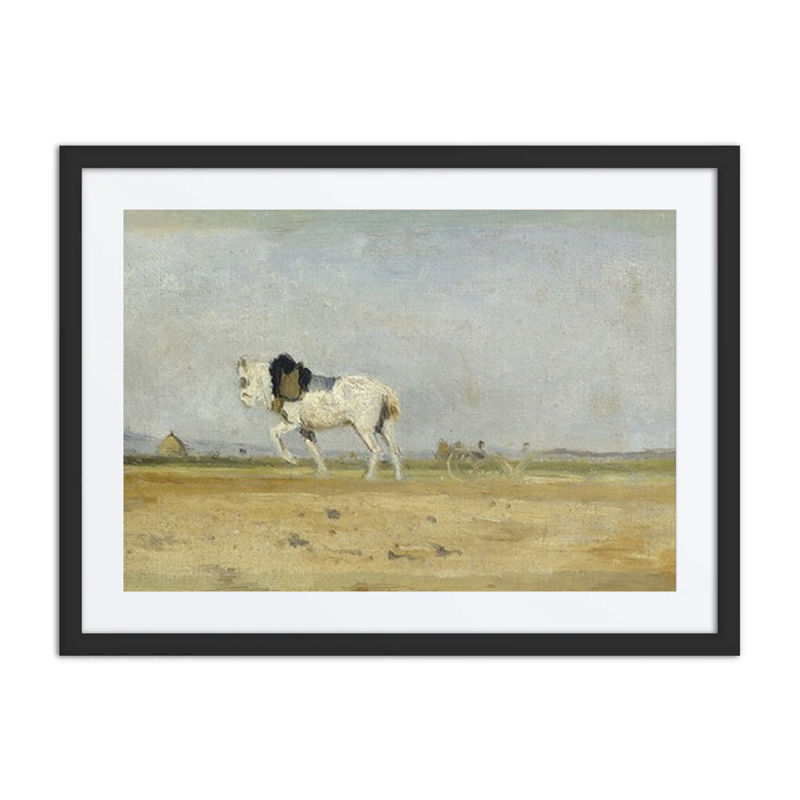A Plow Horse in a Field