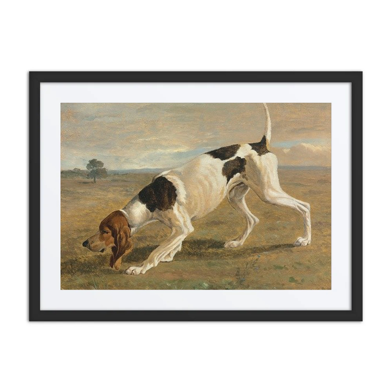 A Pointer in a Landscape