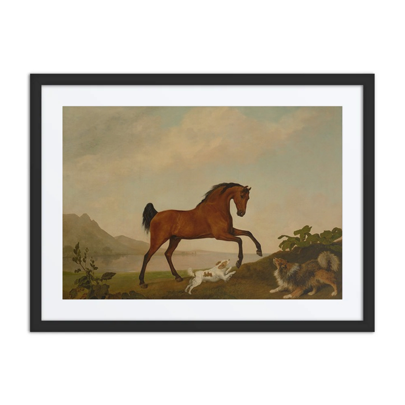 A Prancing Horse with Two Dogs