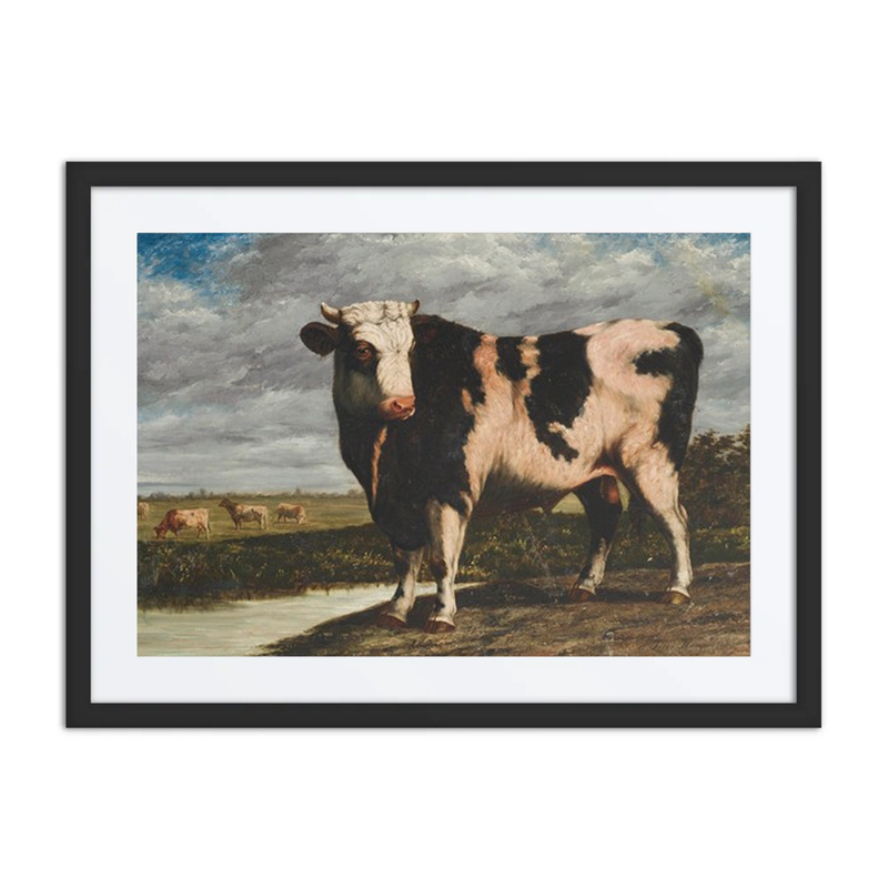 A Prize Bull